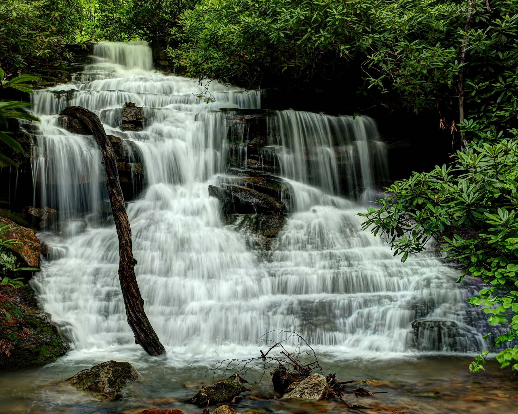 Friends of Ohiopyle Calendar Contest Winner Rusty Glessner Photography